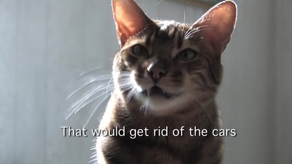 Интелигентно коте е!!!