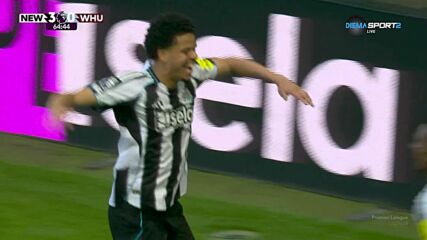 Goal by Newcastle United