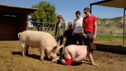 Jackass 3d - Доброто Прасенце Боб 