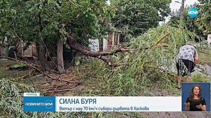 Буря събори дървета в Хасково, гръм подпали бизнес сграда
