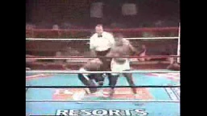 Mike Tyson Forever Champion