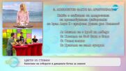 „На кафе” с Цвети Радойчева, Стефан Илчев и Джордж Грейси (17.06.2022)