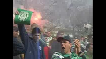 Fcbs Vs Levski