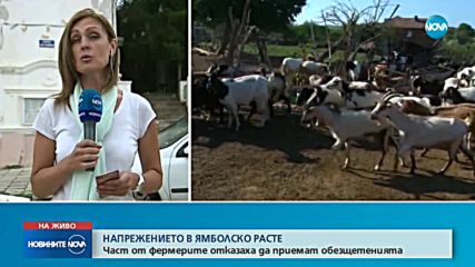 БАБХ: Чумата е пренесена у нас от нелегално вкарано животно от Турция