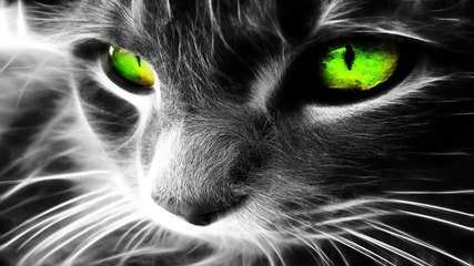 Progressive House Techno: Sakorka - Take Me With You ( Original Mix)