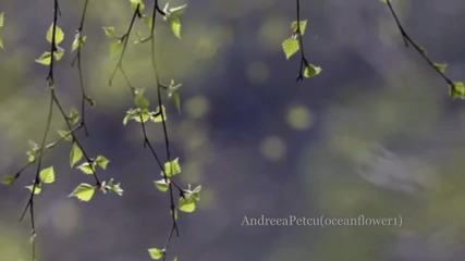 Giovanni Marradi - Adagio in D Minor