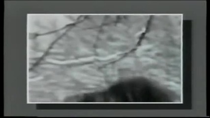 Neda Ukraden - Adio ljubavi