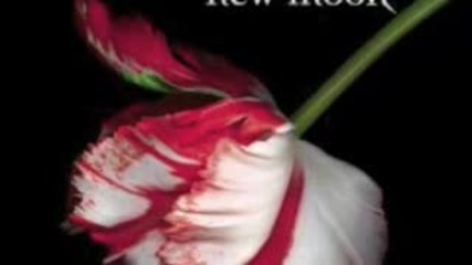 Twilight and New Moon