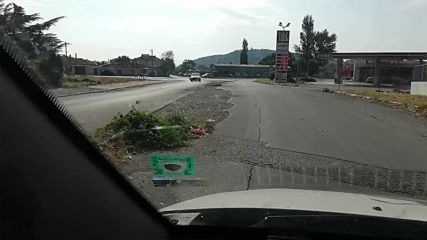 Дърво от асфалта