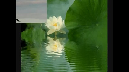 Enigma - Return to innocence