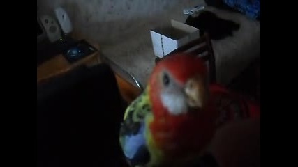 Макс