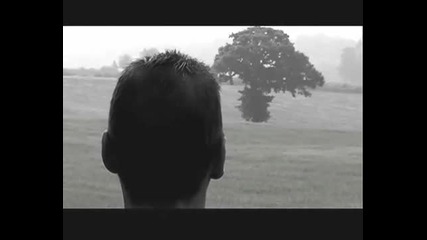 No One Would Riot For Less By Bright Eyes 