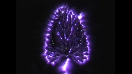 Kirlian Imaging Reel- Аура растения!