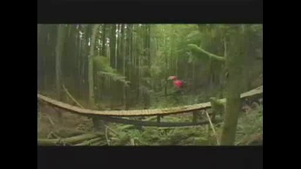 West Coast Style - Mountain
