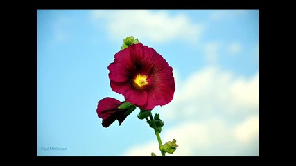 Airwave - Save me (original) 