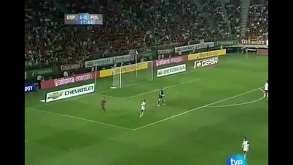 Fernando Torres vs Poland Home