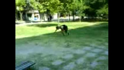 Oncho - Flash Gainer
