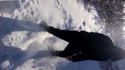 Шуменско плато 20.01.2017