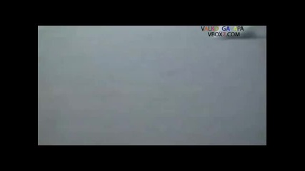 Доста мързеливо куче