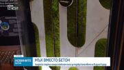 Лондонски стартъп подобрява градската среда с мъх панели