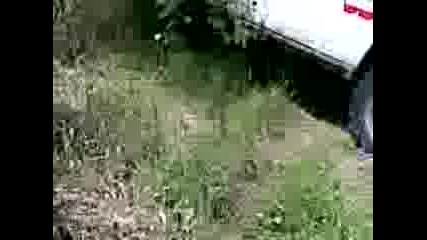 Видео005.3gp