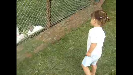 Калина вика зайчетата