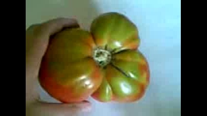 Изродски домат!
