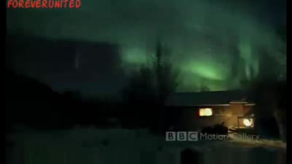 Bbc Motion Gallery - Красотата на Япония