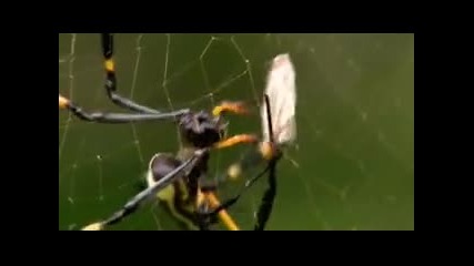 Awesome compilation