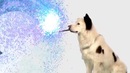 Wand Ids - Disney Channel Stars - Disney Channel Official