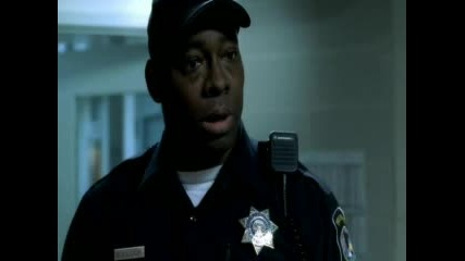 Prison Break 1 Сезон