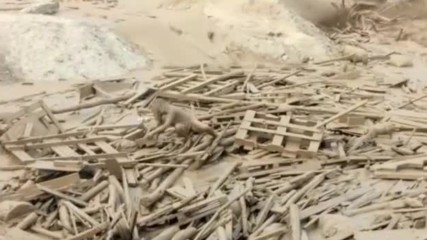 Жена оцеля, повлечена от кална река в Перу