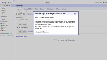 Sprint + Google Voice 
