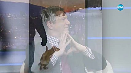 Контратемата на Даниел Петканов (27.02.2018)