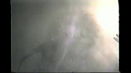 The Shroud - Ophelia