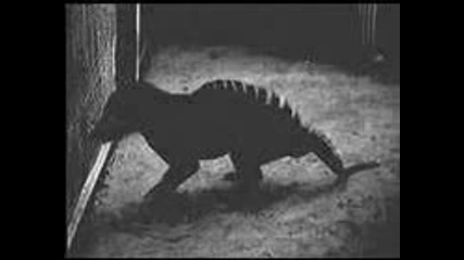 1933 Paranormal Tiger With Dog
