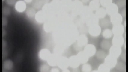 Bass Bumpers - Music's Got Me