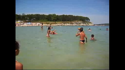 Goliamo bori4kane