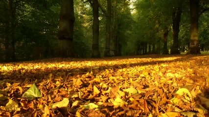 Estiva & Temple One - November Lovely Temple One Remix