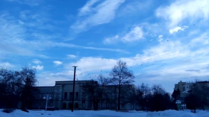Vid_20170114_бели полета 2