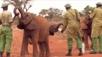 Born To Be Wild - Official Caregivers Featurette [hd]