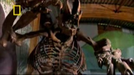Раэликите между Прайсторическите Мечни и Сегашните