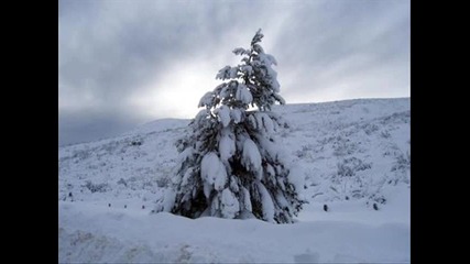 Алисия - Не искам, но ще забравя ! ! !