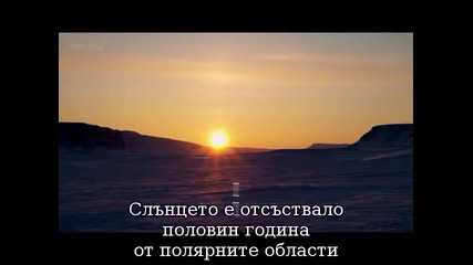 David.attenborough.frozen.planet