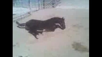 Tormenta