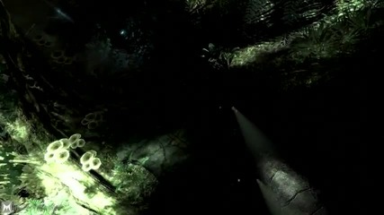 Aliens vs Predator Trailer High Quality 