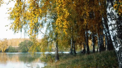 Таня Дяченко - Верная