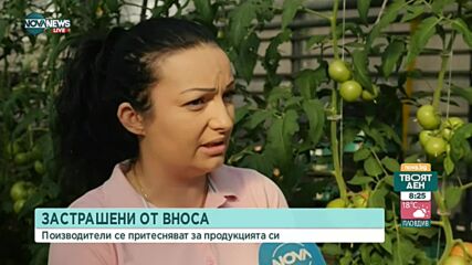 Производители на плодове и зеленчуци се притесняват от чуждестранния внос