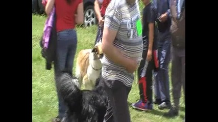 М.а.к.к 2010 Дупница