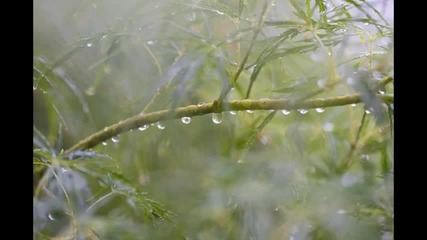 Yiruma - Kiss the Rain + Rainy Mood [hd]